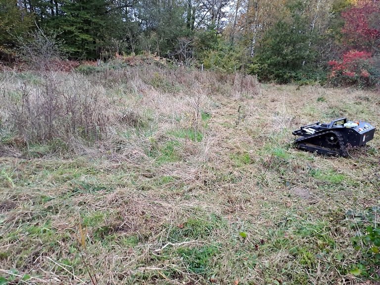 VTLM600 Remote Mower Exceeds Expectations in Clearing Woodland Areas